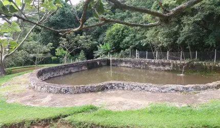 Excelente sitio em Vargem