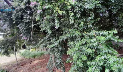 Classe A oferece este Terreno à venda, 350 m² por R$ 490.000,00 - João Pinheiro - Belo Horizonte/MG