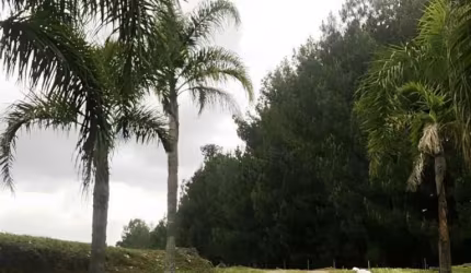 Ferreira Negócios Imobiliários Vende	Chácara em Caxias do Sul Bairro Vila Seca Chácara