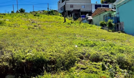 Ferreira Negócios Imobiliários Vende	Terreno em Caxias do Sul Bairro Montes Claros Terreno