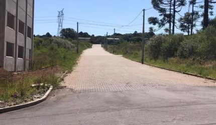Ferreira Negócios Imobiliários Vende	Terreno em Caxias do Sul Bairro São Ciro Vale dos Pinhais