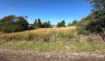 Ferreira Negócios Imobiliários Vende	Terreno em Caxias do Sul Bairro São Luiz Terreno