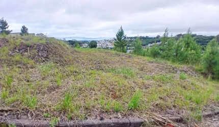 Ferreira Negócios Imobiliários Vende	Terreno em Caxias do Sul Bairro São Ciro Terreno Vale dos Pinhais II