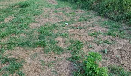 Oportunidade Imperdível: Terreno de 246 m² na Pousada do Vale, São José dos Campos!