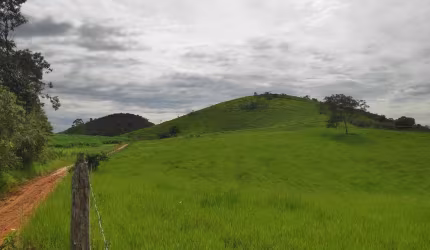 Fazenda para Venda em Silva Jardim, Mato Alto