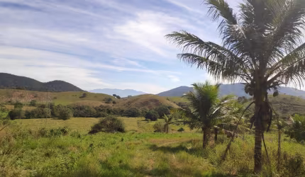 Sítio para Venda em Tanguá, IPITANGAS