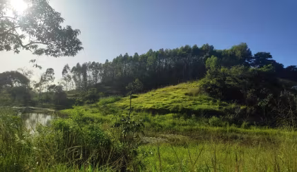 Sítio para Venda em Itaboraí, Peróbas (Pachecos), 3 dormitórios, 1 suíte, 2 banheiros, 1 vaga