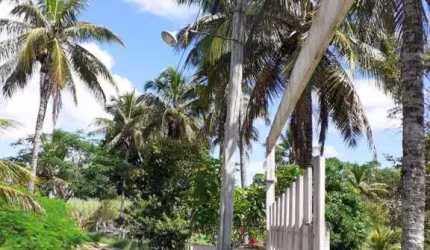 Sítio para Venda em Itaboraí, Peróbas (Pachecos)