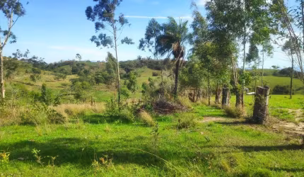 Sítio para Venda em Itaboraí, Peróbas (Pachecos)