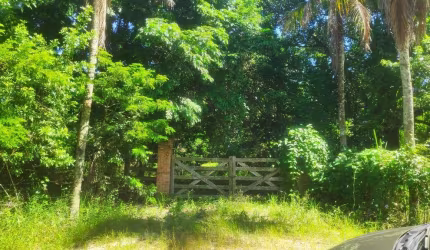 Sítio para Venda em Itaboraí, Picos
