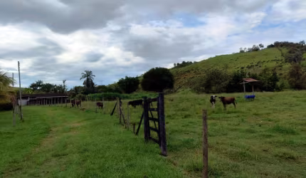Fazenda para Venda em Itaboraí, Centro (Sambaetiba), 3 dormitórios, 1 suíte, 2 banheiros, 1 vaga