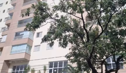 Apartamento # dormitórios Jardim Souto