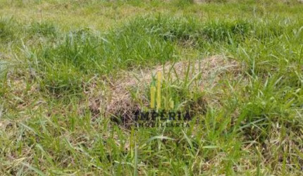 Terreno à venda, 239 m² por R$ 300.000,00 - Vila Santa Terezinha - Várzea Paulista/SP