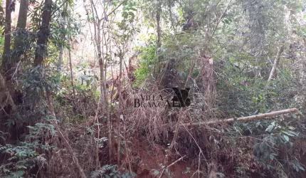 Terreno à venda, 1510 m² por R$ 80.000,00 - Santa Branca - Santa Branca/SP