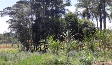 Chácara com 2 dormitórios à venda, 12500 m² por R$ 1.350.000,00 - Condomínio Vista Alegre - Jundiaí/SP