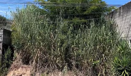 Terreno à venda, 230 m² por R$ 250.000,00 - Barreiro - Mairiporã/SP
