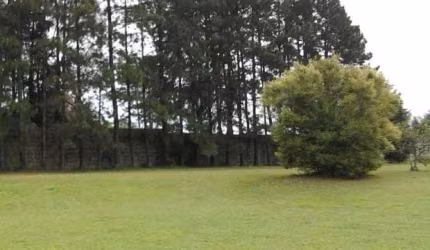 Terreno à venda, 2445 m² por R$ 370.000,00 - Olho D'Água - Mairiporã/SP