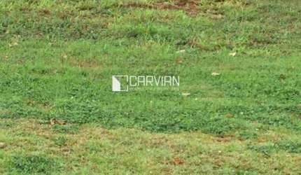 Terreno à venda, 479 m² por R$ 330.000,00 - Bonfim Paulista - Ribeirão Preto/SP
