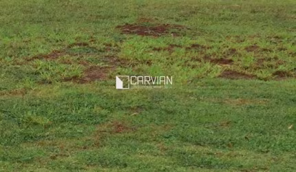 Terreno à venda, 427 m² por R$ 290.000,00 - Bonfim Paulista - Ribeirão Preto/SP
