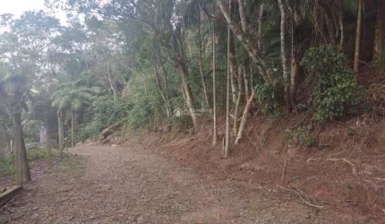 Terreno à venda na Estrada Rozália Paulina Ferreira, 2923, Pântano do Sul, Florianópolis, 720 m2 por R$ 620.000