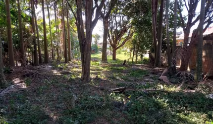 Terreno à venda na Rodovia Baldicero Filomeno, 2379, Ribeirão da Ilha, Florianópolis, 1426 m2 por R$ 1.190.000