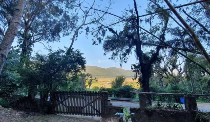 Terreno à venda na Estrada Rozália Paulina Ferreira, 1398, Pântano do Sul, Florianópolis, 19800 m2 por R$ 2.500.000