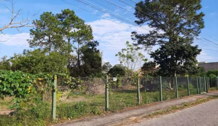 Terreno à venda na Servidão Jaborandi, 900, Campeche, Florianópolis, 4122 m2 por R$ 9.490.000