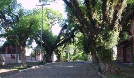 Terreno residencial à venda, Bairro Vila Ipiranga, Porto Alegre.