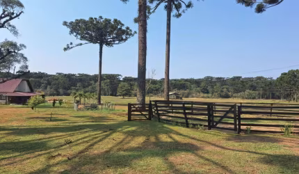 Área Rural para Venda em São João do Triunfo, Área Rural