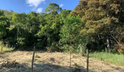 Terreno à venda, 450 m² por R$ 35.000,00 - Centro - Torreões (Juiz de Fora)/MG