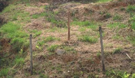 Terreno à venda, 506 m² por R$ 180.000 - Santos Dumont - Juiz de Fora/MG