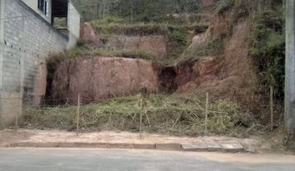 Terreno à venda, 312 m² por R$ 80.000,00 - Grama - Juiz de Fora/MG