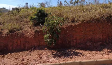 Terreno à venda, 354 m² por R$ 70.000 - Igrejinha - Juiz de Fora/MG