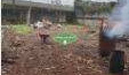 Terreno para aluguel Chico de Paula Santos SP