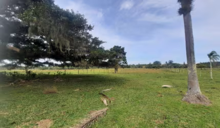 Sítio à venda no Bairro São Francisco com 25000 m² de área privativa