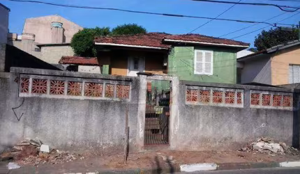 Terreno Baeta Neves - 299m2 - SBCampo