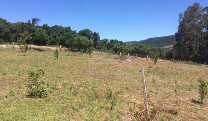 Sítio à venda, 1200 m² por R$ 104.000,00 - Lomba Grande - Novo Hamburgo/RS