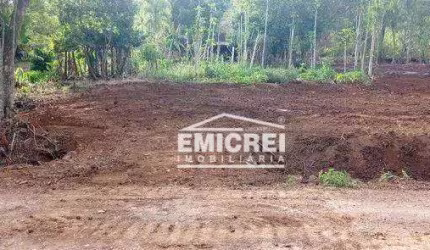 Chácara à venda, 10000m² por R$ 148.000 - Campinas - Rolante/RS