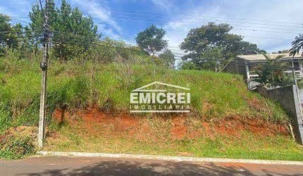 Terreno à venda, 1565 m² por R$ 750.000,00 - Rondônia - Novo Hamburgo/RS
