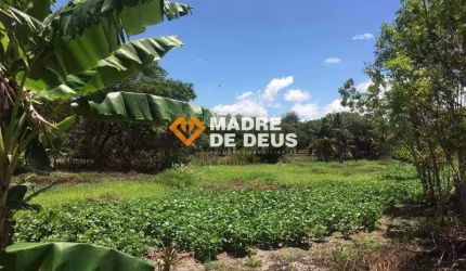 Terreno à venda na Manoel Antônio, 164, Dourado, Horizonte por R$ 450.000