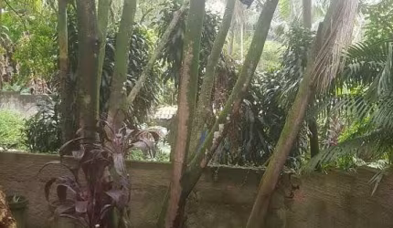 Casa de Condominio em Diadema