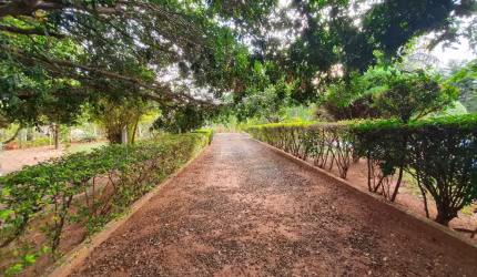 TRANQUILIDADE EM CONTATO COM A NATUREZA
