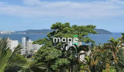 Terreno à venda, 734 m² por R$ 2.450.000,00 - Morro Santa Terezinha - Santos/SP