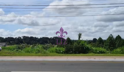 Terreno comercial no Centro de Colombo