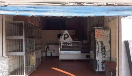 LOJA DE RUA , HOJE AVIÁRIO,negocia c/todo mobiliário Avaliado em +- R$10.000 .Em localização privilegiada para esse segmento ou outros .