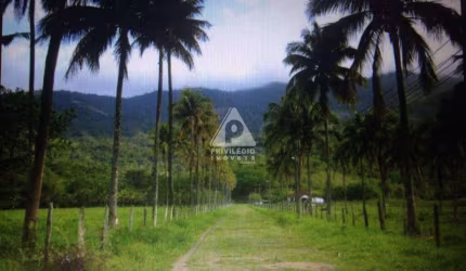 Fazenda à venda, 5 quartos, 2 suítes, 4 vagas, Mazomba - Itaguaí/RJ