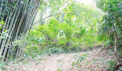 Terreno residencial, comercial e industrial de 84.000 m² em Vargem Pequena