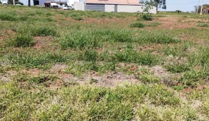 Terreno à venda na Rua Canários, Zona Rural, Iguaraçu por R$ 75.000