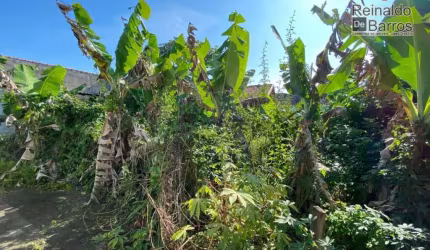 Terreno à venda, 250 m² por R$ 148.000,00 - Balneário Paranapuan - Itanhaém/SP