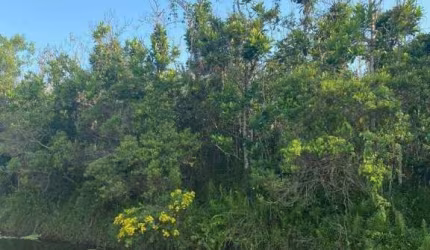 Terreno à venda, 420 m² por R$ 50.000 - Estância Suiça - Itanhaém/SP